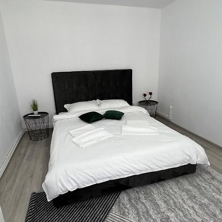 Blue Alpin Straja Apartment Vulcan  Exterior photo
